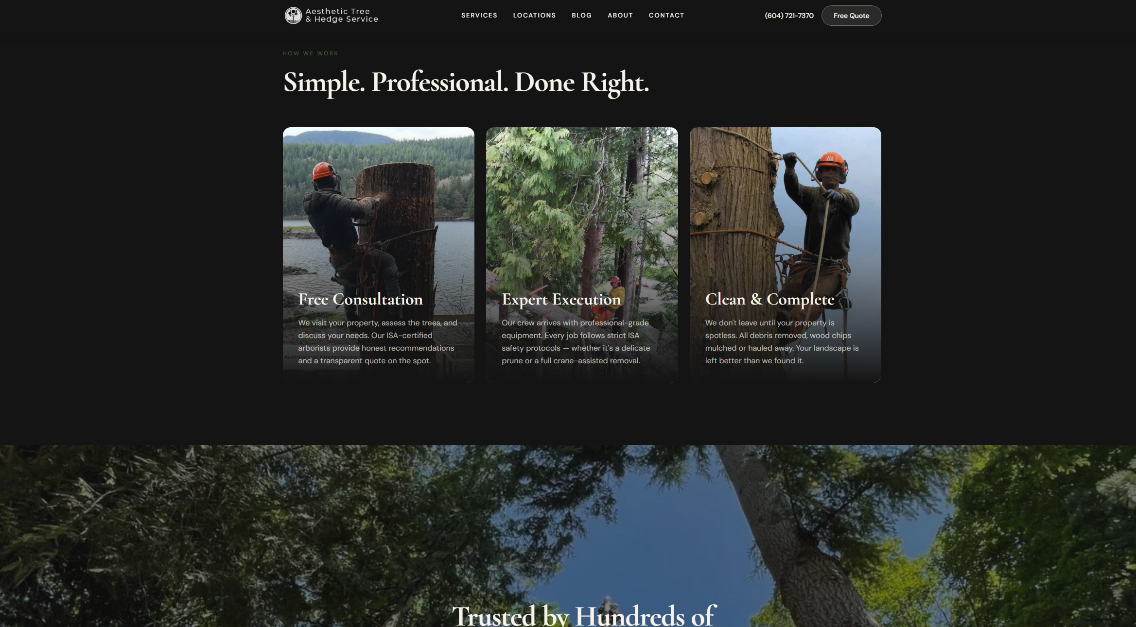 Aesthetic Tree & Hedge Services