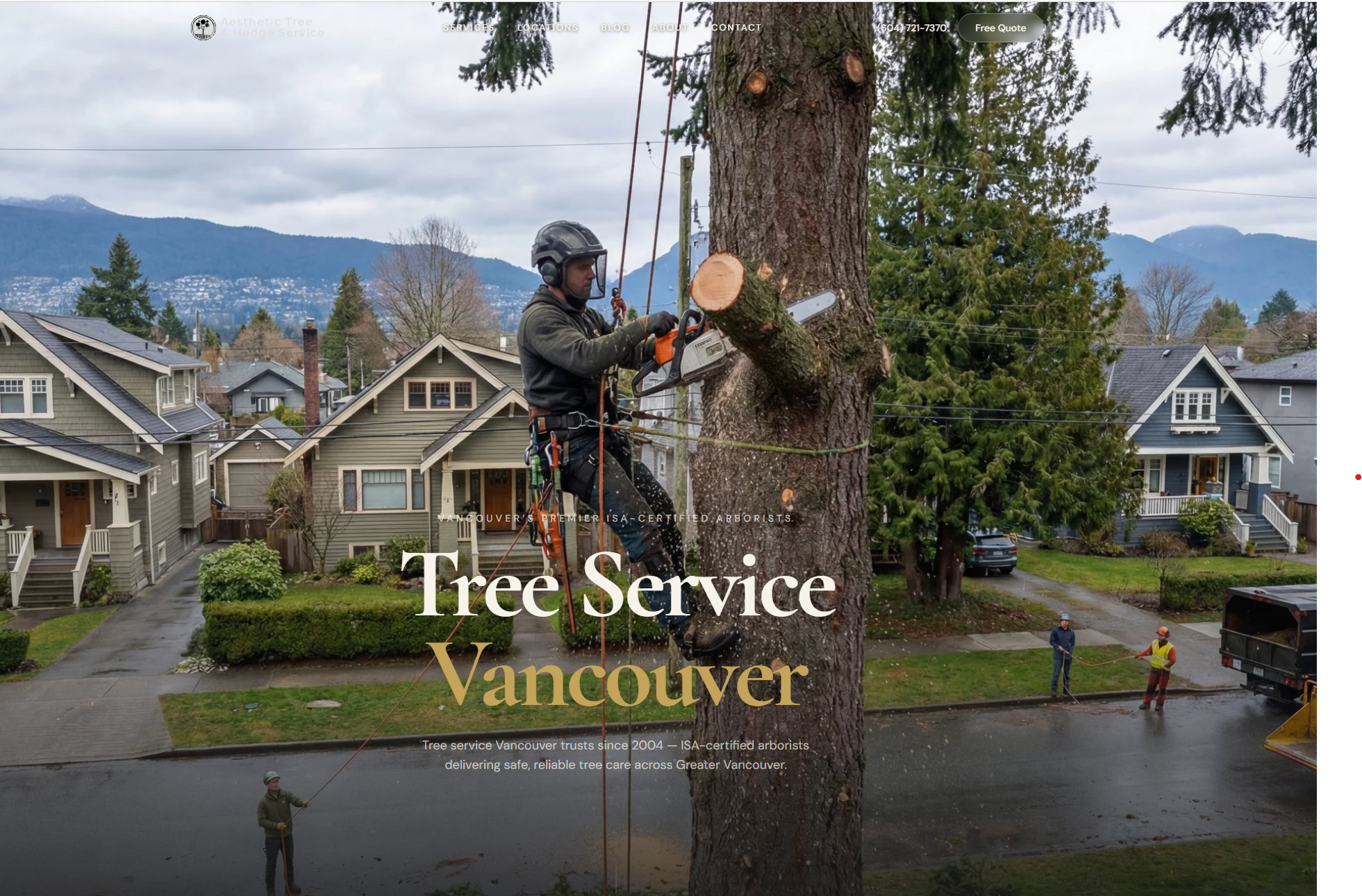 Tree Care SEO & Website Rebuild